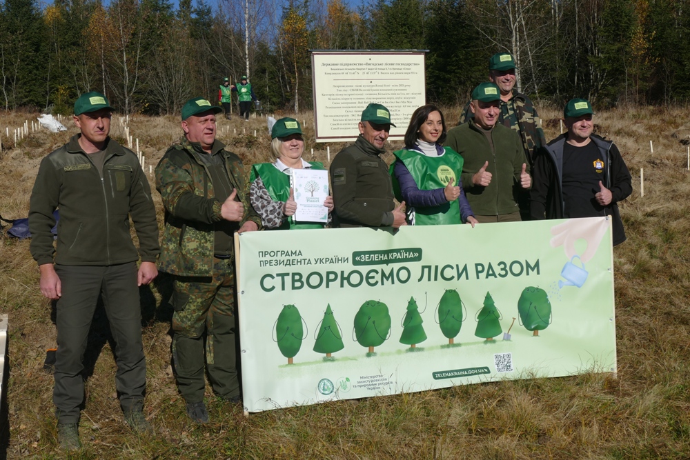 Понад три тисячі дерев висадили у Вигодському лісгоспі ФОТО